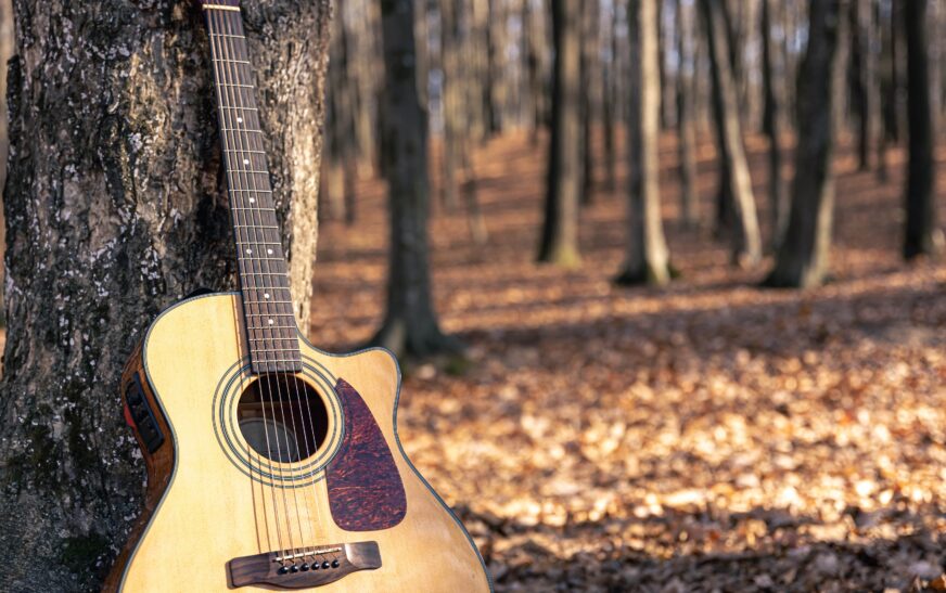 Music and the Environment: Harmonizing Conservation Efforts with Melodic Inspiration